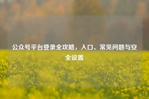 公众号平台登录全攻略，入口、常见问题与安全设置