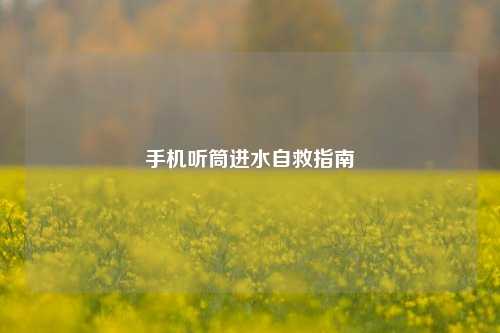 手机听筒进水自救指南