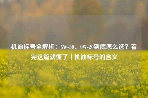 机油标号全解析：5W-30、0W-20到底怎么选？看完这篇就懂了｜机油标号的含义