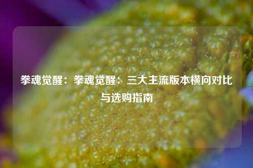 拳魂觉醒:拳魂觉醒:三大主流版本横向对比与选购指南