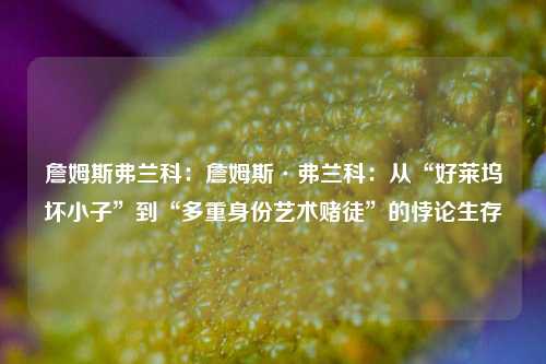 詹姆斯弗兰科：詹姆斯·弗兰科：从“好莱坞坏小子”到“多重身份艺术赌徒”的悖论生存