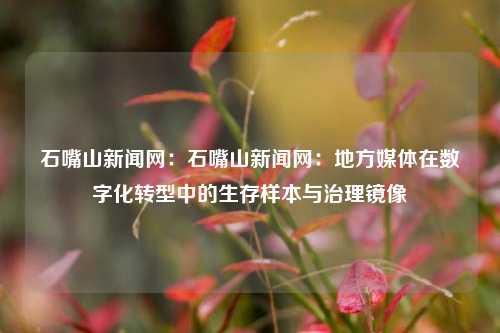 石嘴山新闻网：石嘴山新闻网：地方媒体在数字化转型中的生存样本与治理镜像