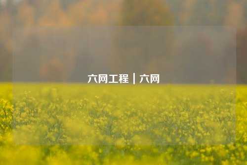六网工程|六网