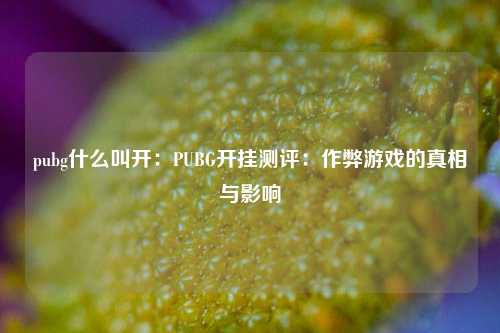 pubg什么叫开：PUBG开挂测评：作弊游戏的真相与影响