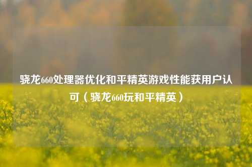骁龙660处理器优化和平精英游戏性能获用户认可（骁龙660玩和平精英）