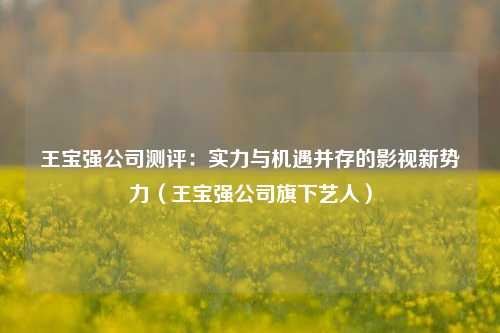 王宝强公司测评：实力与机遇并存的影视新势力（王宝强公司旗下艺人）