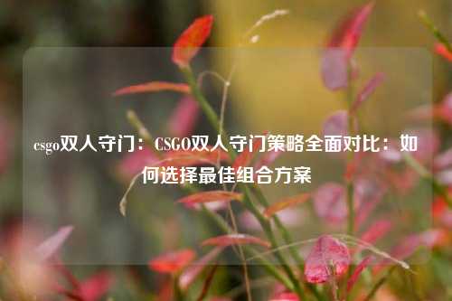 csgo双人守门：CSGO双人守门策略全面对比：如何选择最佳组合方案