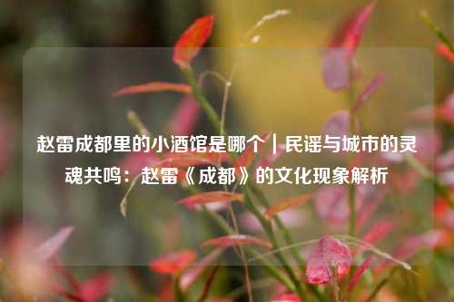 赵雷成都里的小酒馆是哪个｜民谣与城市的灵魂共鸣：赵雷《成都》的文化现象解析