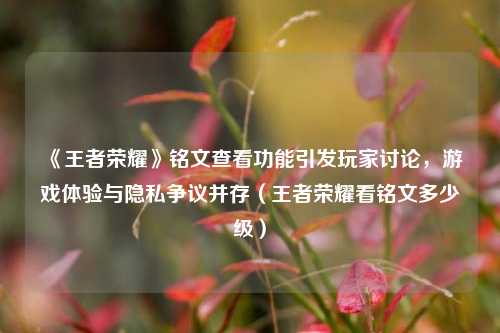 《王者荣耀》铭文查看功能引发玩家讨论，游戏体验与隐私争议并存（王者荣耀看铭文多少级）