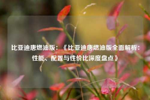 比亚迪唐燃油版：《比亚迪唐燃油版全面解析：性能、配置与性价比深度盘点》