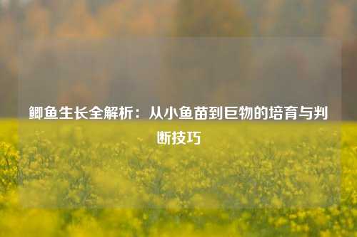 鲫鱼生长全解析：从小鱼苗到巨物的培育与判断技巧