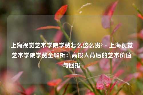 上海视觉艺术学院学费怎么这么贵?·上海视觉艺术学院学费全解析：高投入背后的艺术价值与回报