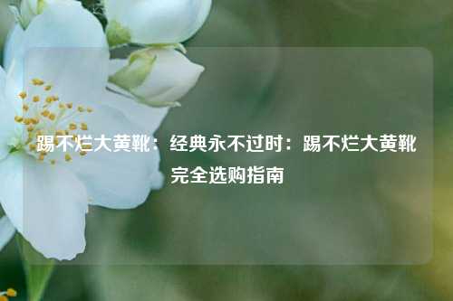 踢不烂大黄靴：经典永不过时：踢不烂大黄靴完全选购指南