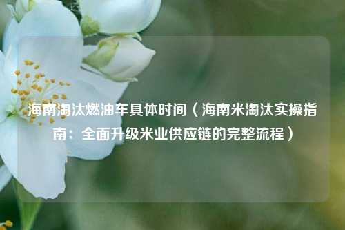 海南淘汰燃油车具体时间（海南米淘汰实操指南：全面升级米业供应链的完整流程）