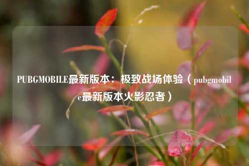 PUBGMOBILE最新版本：极致战场体验（pubgmobile最新版本火影忍者）