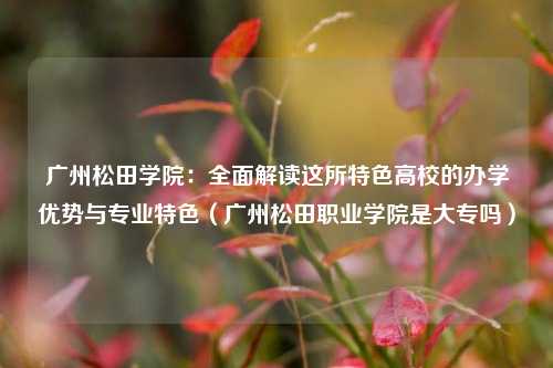 广州松田学院：全面解读这所特色高校的办学优势与专业特色（广州松田职业学院是大专吗）