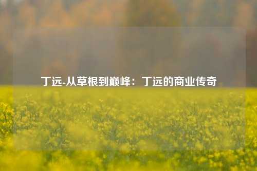 丁远-从草根到巅峰：丁远的商业传奇